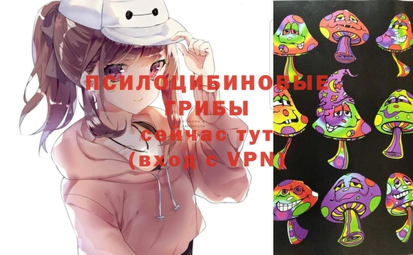 спиды Надым
