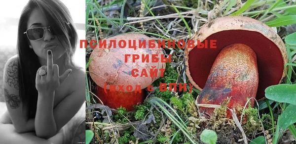синтетический гашиш Алексеевка