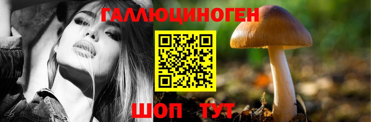 Рязань  Галлюциногенные грибы прущие грибы  Вход с VPN 
